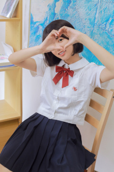 疯狂的蠢贼